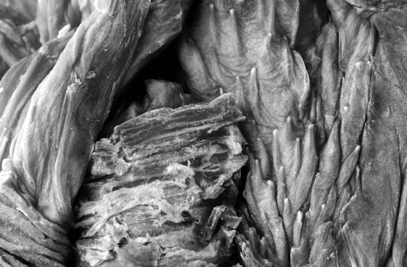 getrocknete Ananas