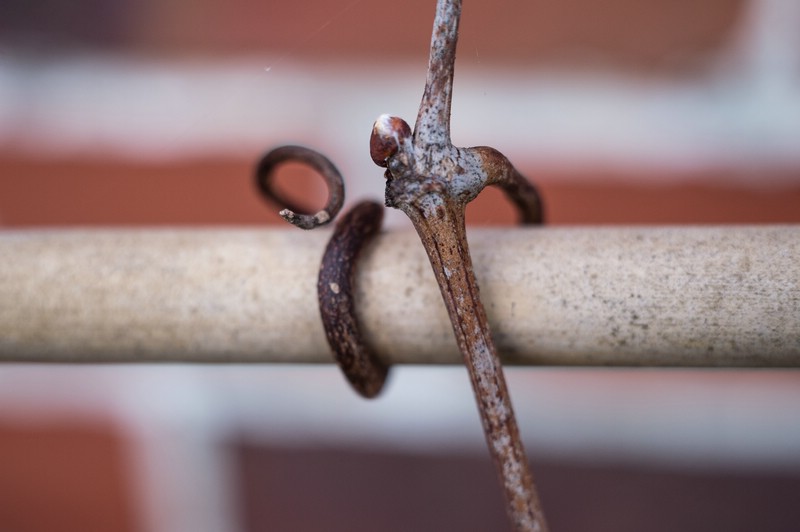 800px_MAT_0603